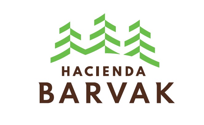 logo-H.-BARVAK-1